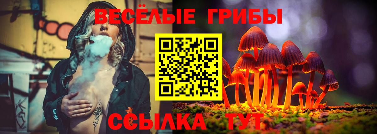 Псилоцибиновые грибы MAGIC MUSHROOMS Янаул